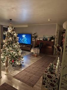 Lapland Harmony Home