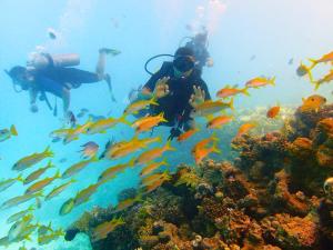 luxury one bedroom at scandic resort