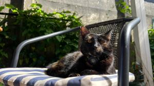 Quédate en el único Club de Jazz, Cine y Café de la ciudad