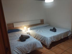 Calatorao apartamentos completos con jardín