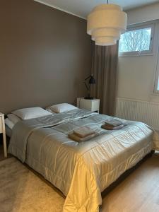 Charming Comfort in the Heart of Snowy Rovaniemi