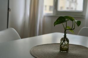 Playa, Casino y Güemes a metros, Tu estadía ideal