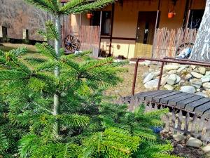 Guest House Pisnya Karpat