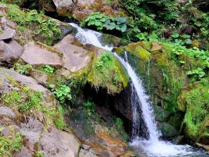 Guest House Pisnya Karpat