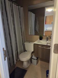 Depa Stgo a pasos de La Teletón