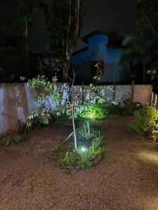 Espaço Pé de Cacau Camburi São Sebastião