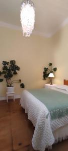 Viña del Mar Playa Jardín, entre Agua Santa y El Reloj de Flores