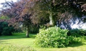 Large Summerhouse On Danish Island Bornholm