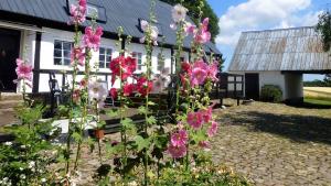 Large Summerhouse On Danish Island Bornholm