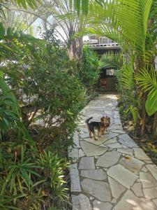 Casa com Hidromassagem - Praia da Maranduba