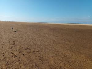 Cosy Cottage by the Quay