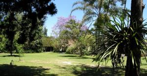 Iluka Rainforest Beach Shack Eco-Home