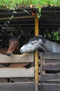 Glamping en Villa de Leyva
