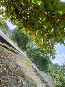 HERMOSO y amplio apartamento