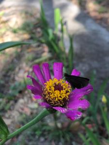 Overlooking Budget Hotel