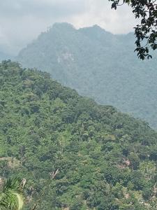 Overlooking Budget Hotel