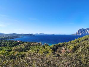 Seaside apartment near Budoni img26
