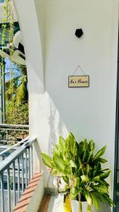 Phòng Double View - Chill với Máy Chiếu, Ban Công Xanh Mát