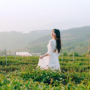 Trạm Mây Glamping