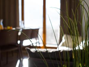 Studio tout confort au pied des pistes avec Wi-Fi gratuit - FR-1-358-230