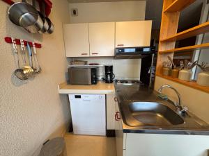 Studio lumineux 4 pers, ski aux pieds, animaux admis - FR-1-358-255
