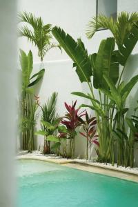 Nusa Loft Villa 3BR with Rooftop Space In Uluwatu