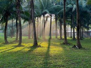 An Yen Homestay Khu Mori Onsen Ecopark