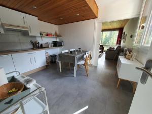 Appartement rénové 58m² près des pistes, jusquà 4 personnes - FR-1-358-262