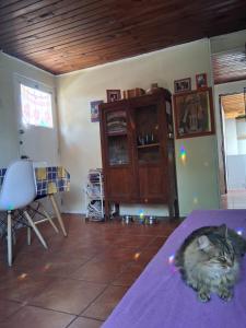 Casita acogedora en Ñuñoa