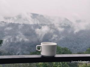 Serenehills Retreat with Hilltop pool