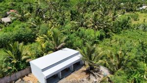 Luz Tropical Homestay