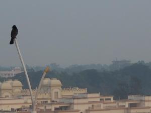 Mayapur Guest Place