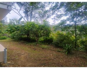 Maanasam Farmstay - Boutique 3BR Countryside Villa, Manikkadavu