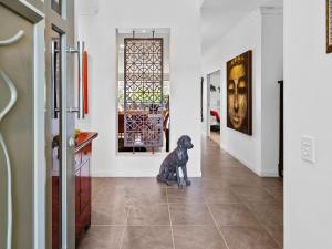 The Doggy Beach House - with Pool in Pottsville