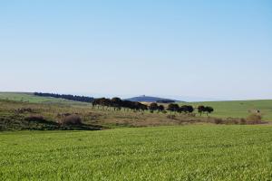 Masseria Torre Di Nebbia
