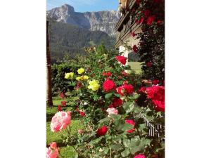 Hirterhütte Familie Gsenger