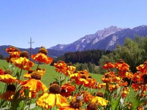 Hirterhütte Familie Gsenger