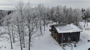 Brīvdienu māja Sniegi