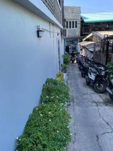 Baan suan hostel Koh Tao