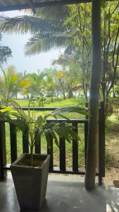 Calma Cafe - Surf, Stay and Yoga
