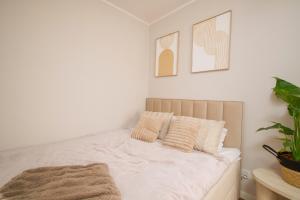 Prime Oliva Business Apartment