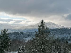 Apartment 25 JAVOR - Rezidence & Wellnes