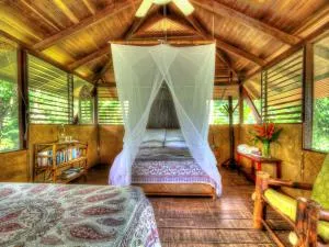 Iguana Lodge Beach Resort - Puerto Jiménez