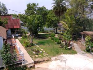 Wasuthan fujiminimal