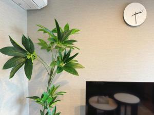 JS暁宅-雅彩E gasai