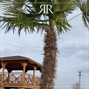 Royal Hotel & Events