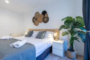Amati Boutique Coliving Madrid