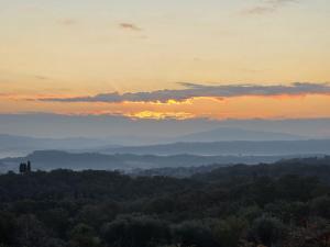 Agriturismo Collina degli Ulivi