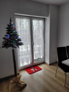 Mieszkanie 3 pokojowe