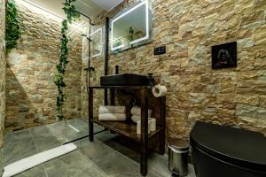 ALBERT RESIDENCE City Center Accommodation Brașov